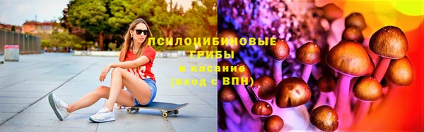 шишки Иннополис