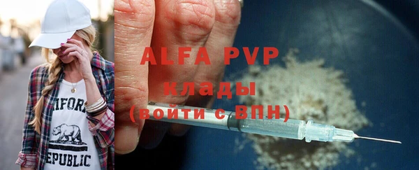 шишки Иннополис