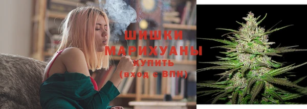 тгк Инта