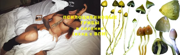 шишки Иннополис