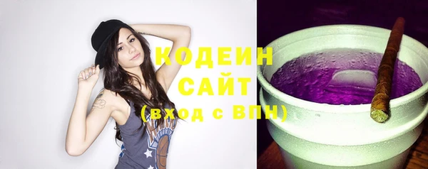 шишки Иннополис