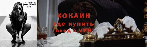 тгк Инта