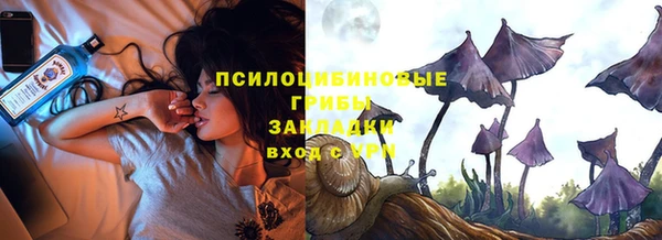 тгк Инта