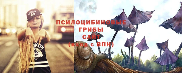 шишки Иннополис