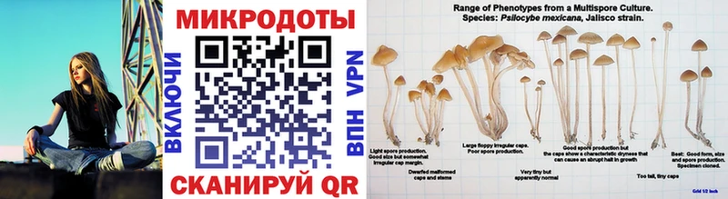 Галлюциногенные грибы Magic Shrooms  Купить где  Новотроицк 